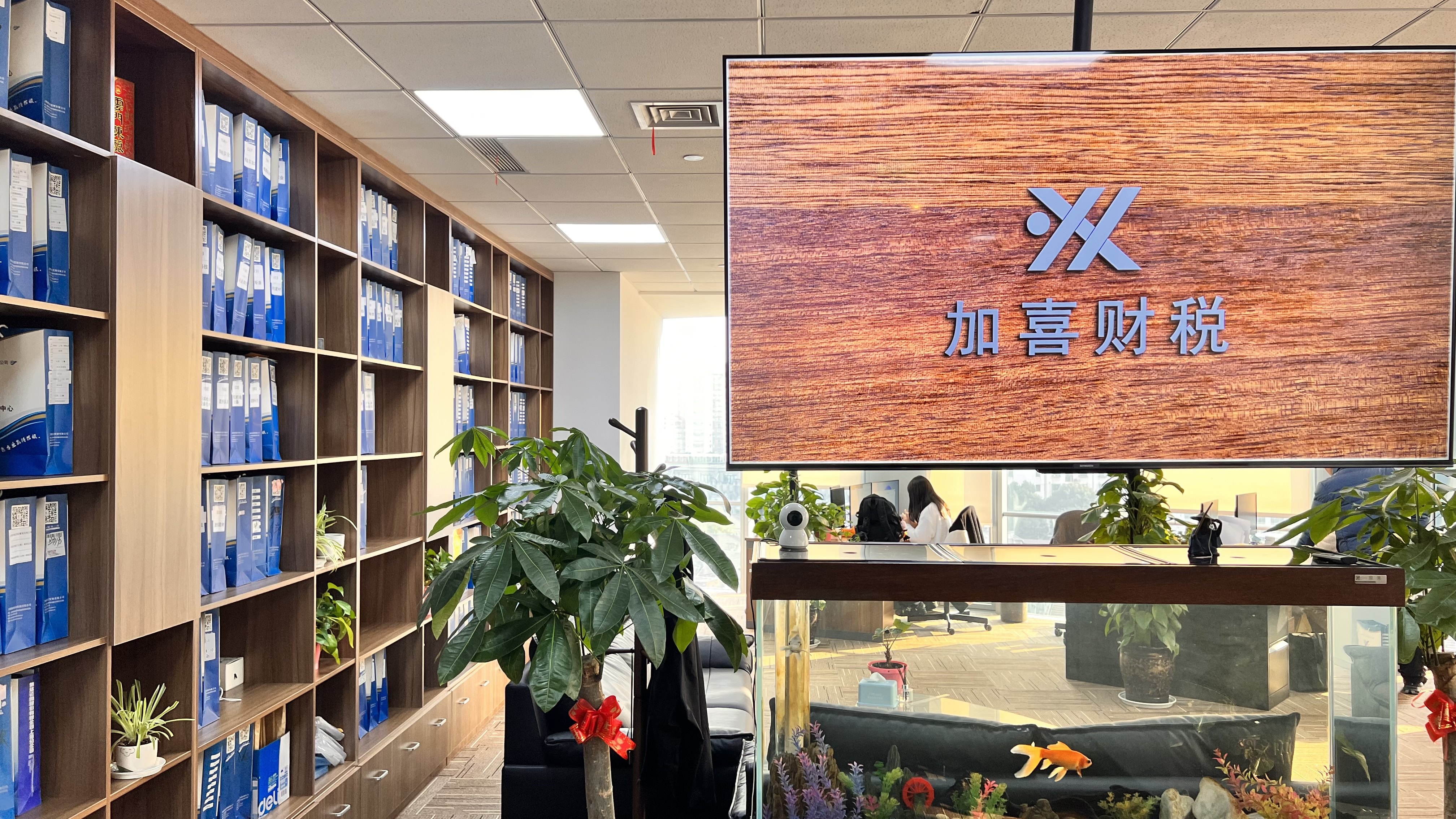 专业公司注册服务