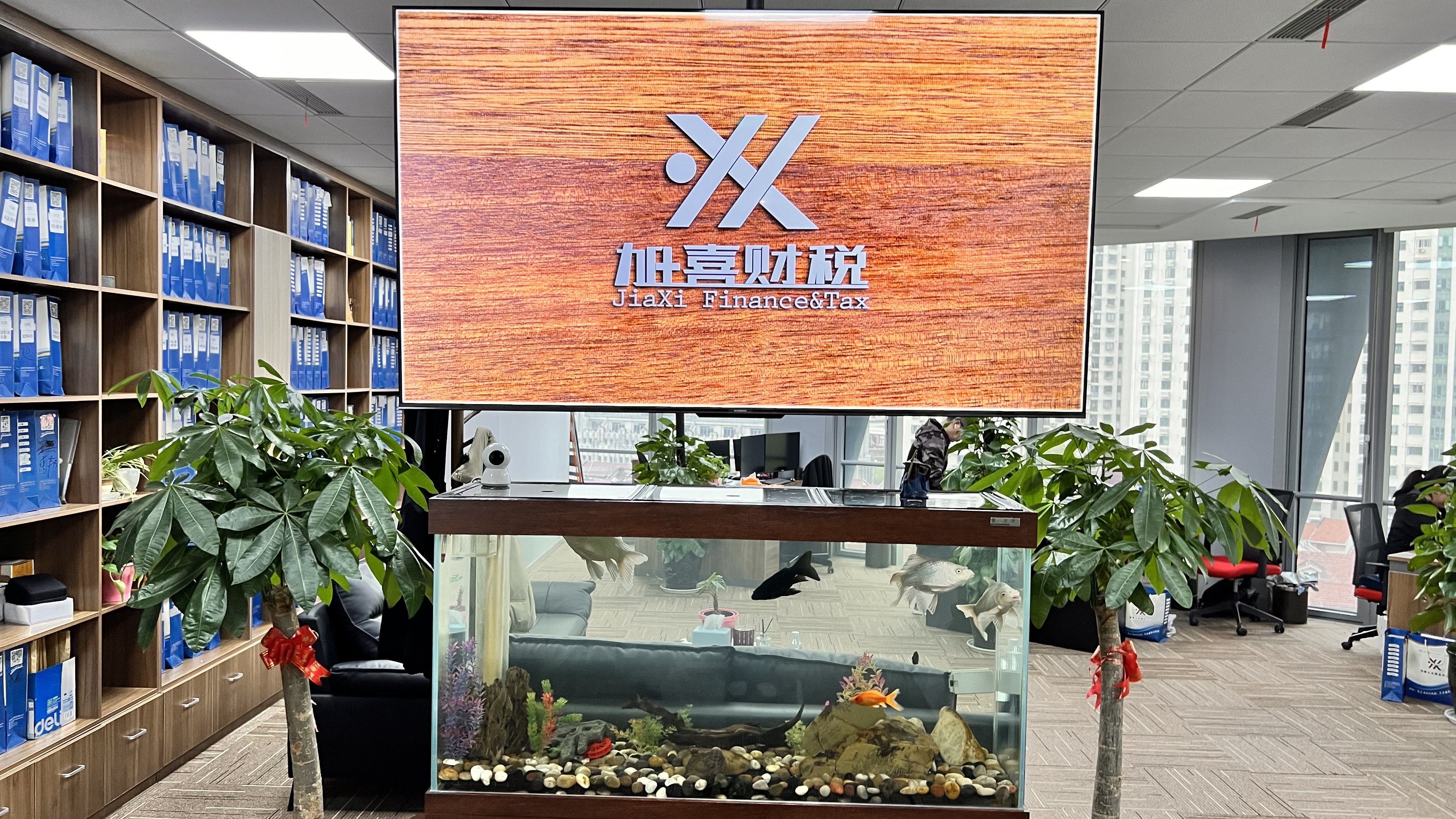专业企业服务解决方案